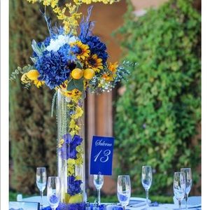 Meet your Posher, Demetrica